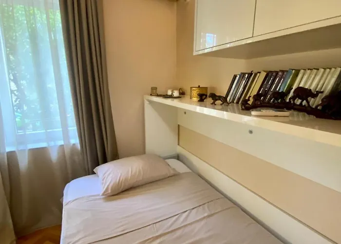 Apartament Center 1 *