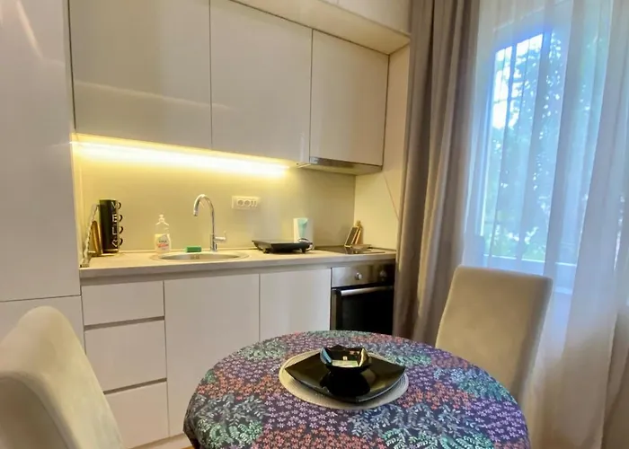 Apartament Center 1 *